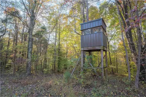 0 Askins Road Fordsville KY 42343