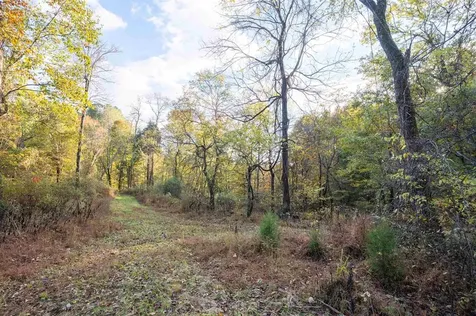 0 Askins Road Fordsville KY 42343