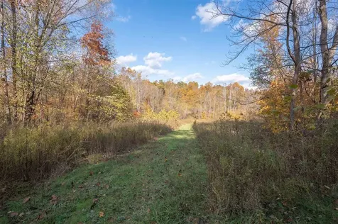 0 Askins Road Fordsville KY 42343