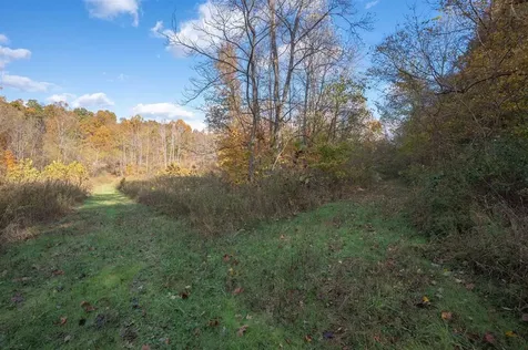 0 Askins Road Fordsville KY 42343