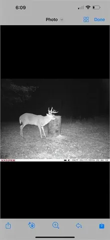 0 Askins Road Fordsville KY 42343