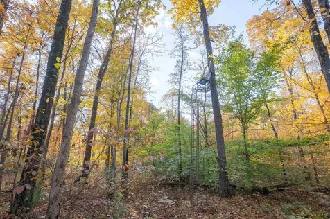 0 Askins Road Fordsville KY 42343