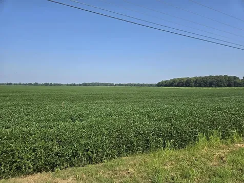 Henderson KY 42420