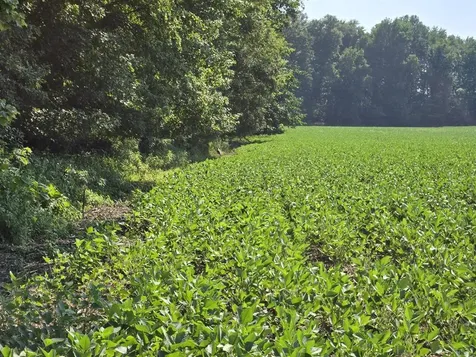 Henderson KY 42420