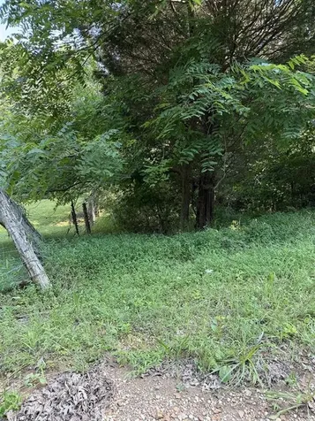 000 South Middle Patesville Road Hawesville KY 42348-000