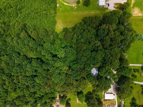 3016 Moseley Road Utica KY 42376