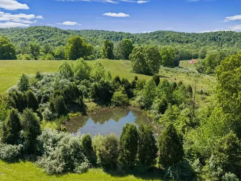 485 Veach Road Reynolds Station KY 42368