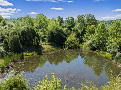485 Veach Road Reynolds Station KY 42368