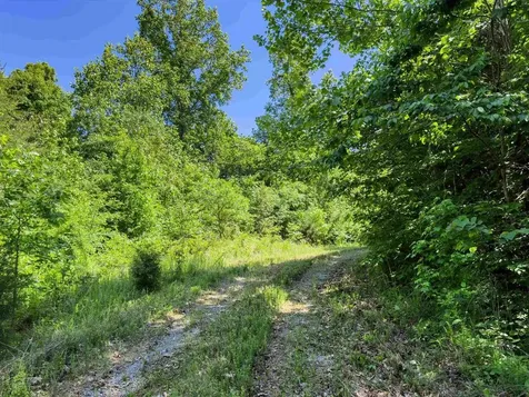 000 Dimond Spring Road Lewisburg KY 42256