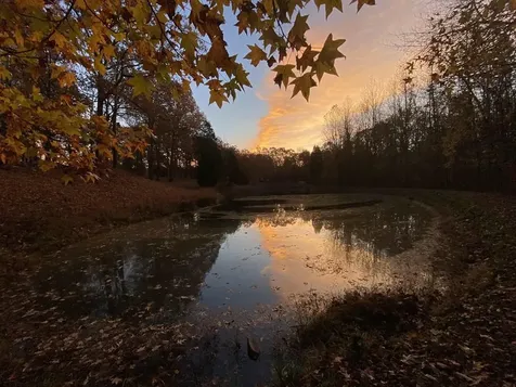 400 Forest Lane Whitesville KY 42378