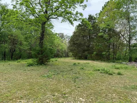 1146 Neafus Road Horse Branch KY 42349