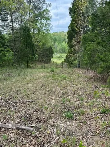 1146 Neafus Road Horse Branch KY 42349