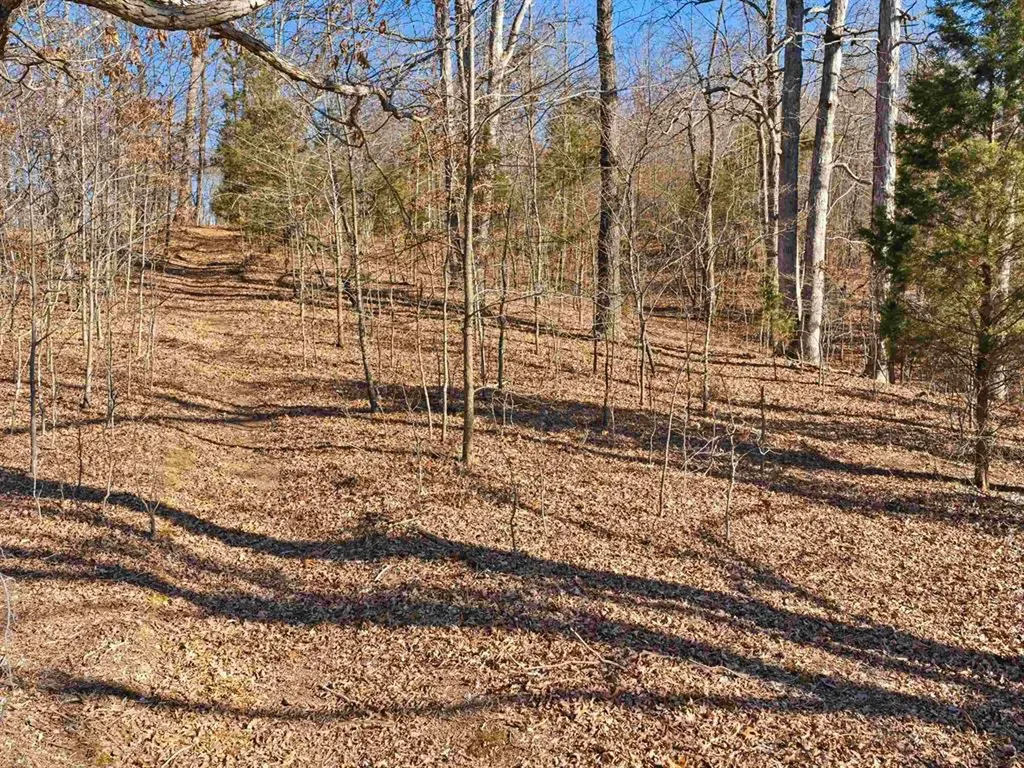 6346 Little Hickory Road Philpot KY 42366