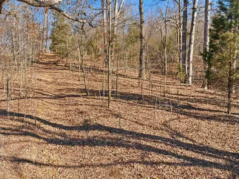 6346 Little Hickory Road Philpot KY 42366