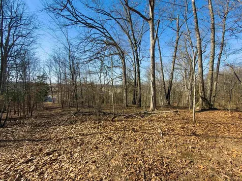 6346 Little Hickory Road Philpot KY 42366