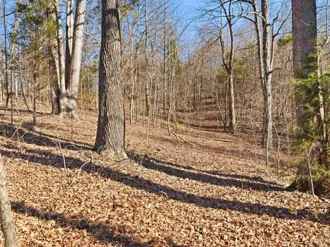 6346 Little Hickory Road Philpot KY 42366
