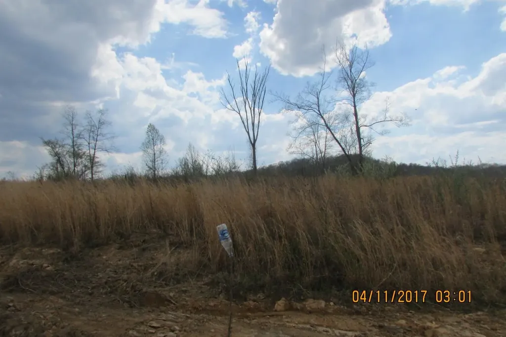 100 Old Stinking Creek Road Flat Lick KY 40906