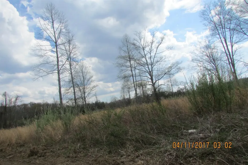 100 Old Stinking Creek Road Flat Lick KY 40906