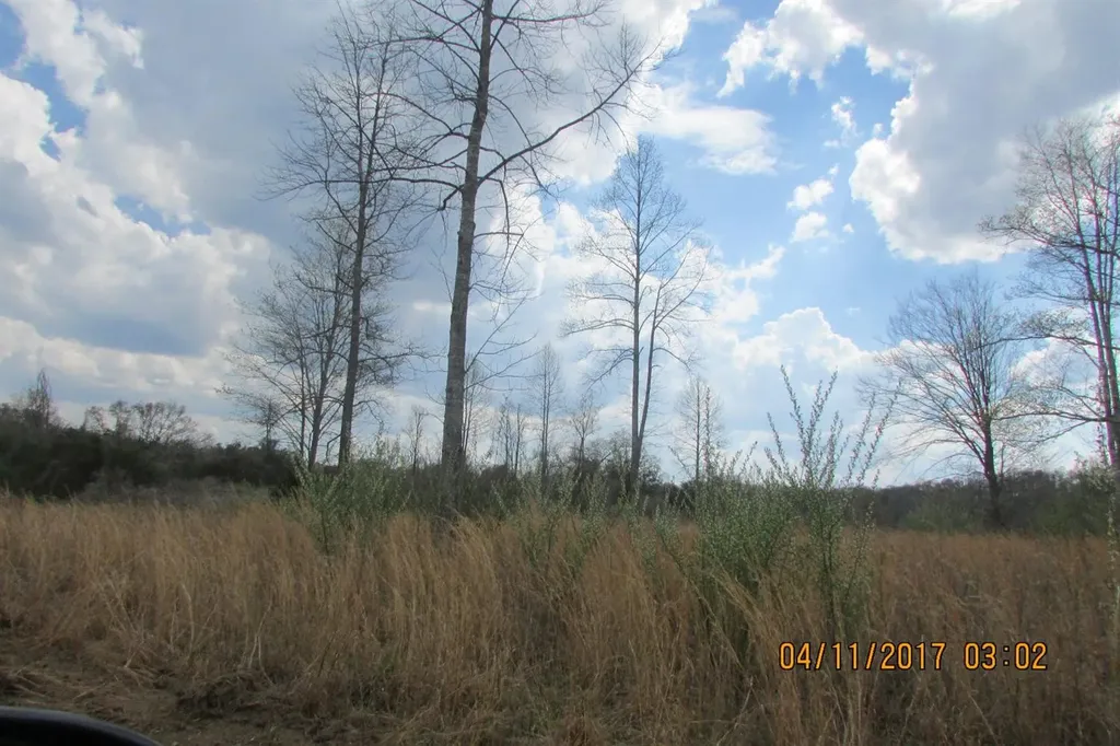 100 Old Stinking Creek Road Flat Lick KY 40906