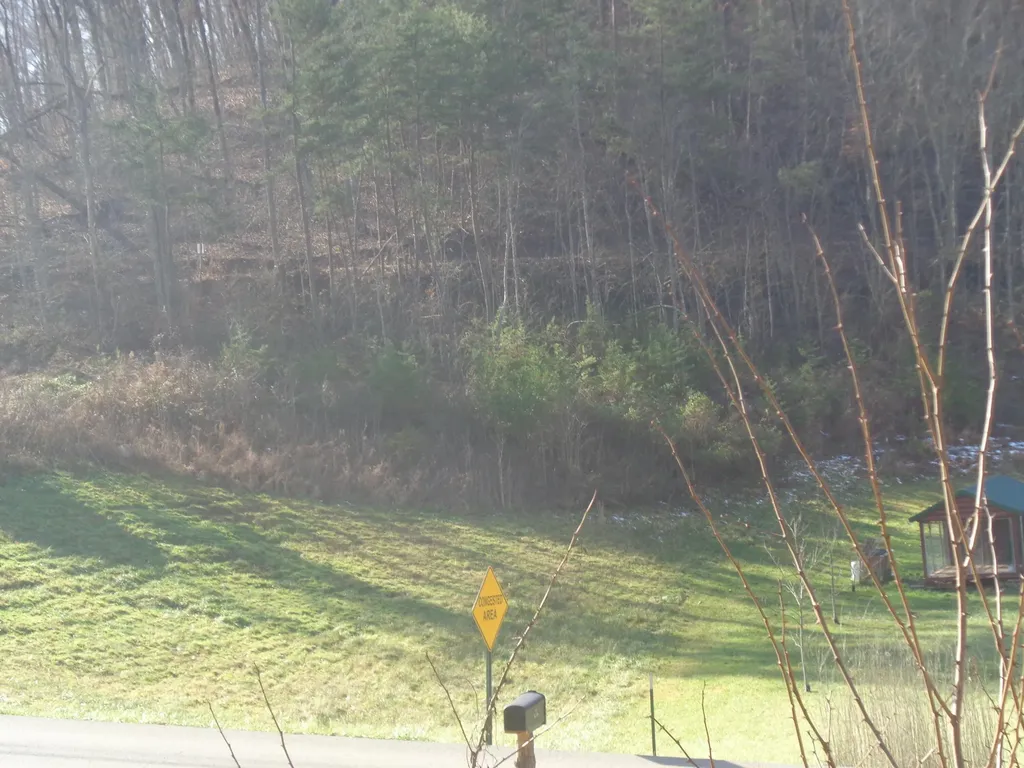 31 Freeman Branch Road East Bernstadt KY 40729