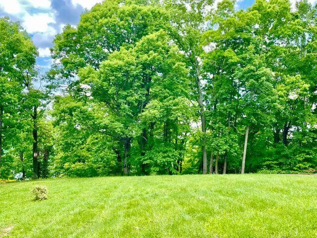 44 Green Hills Estates Road Monticello KY 42633