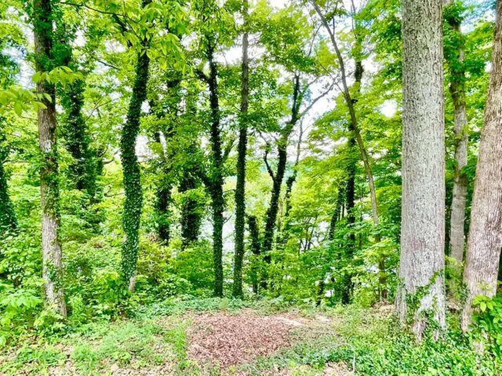 44 Green Hills Estates Road Monticello KY 42633