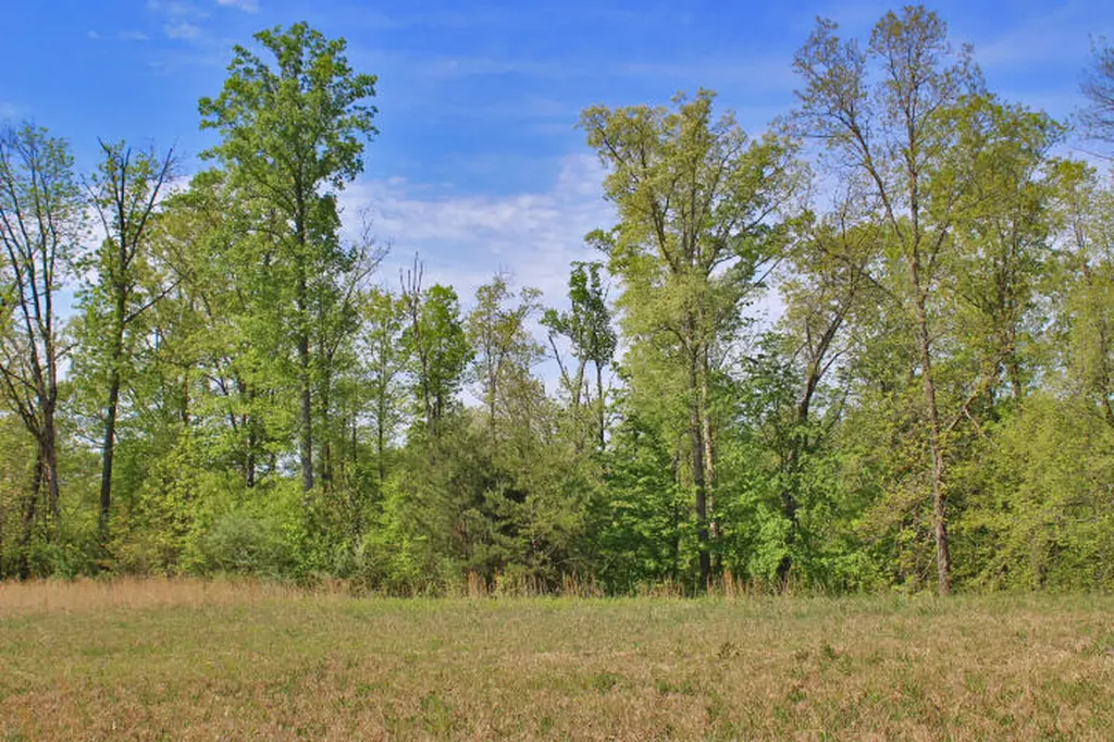 100 Lake Crest Drive Somerset KY 42503