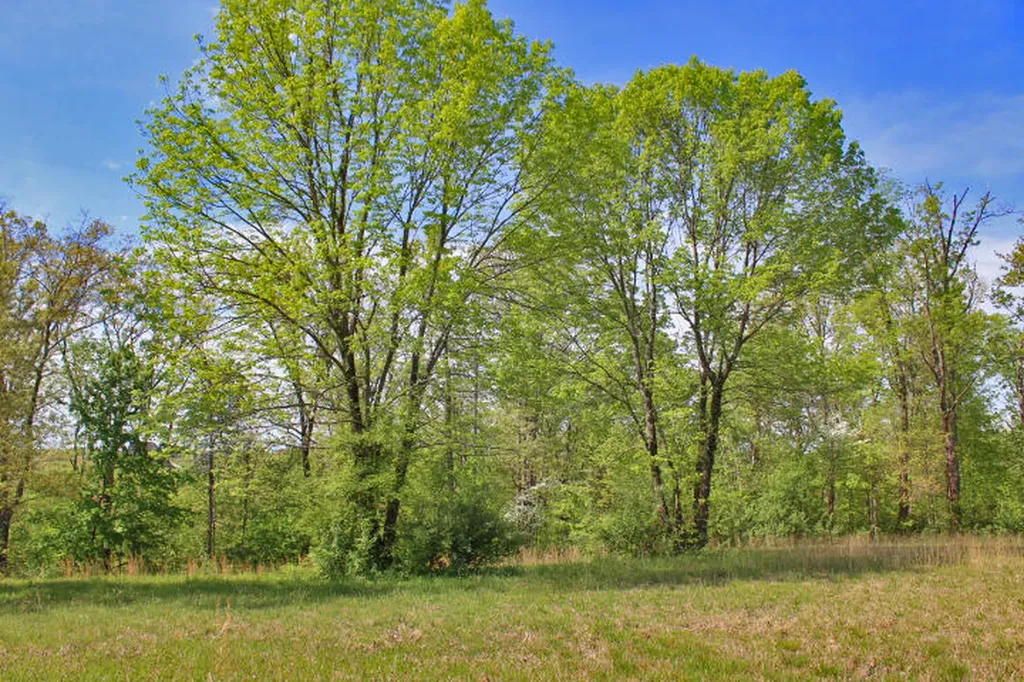 130 Lake Crest Drive Somerset KY 42503