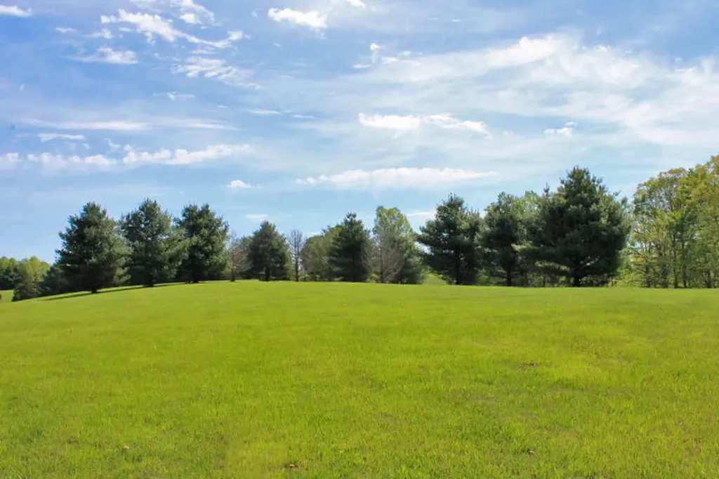25 Laurelwood Lane Nancy KY 42544