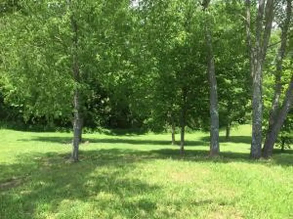 106 Bellereve Drive Somerset KY 42501