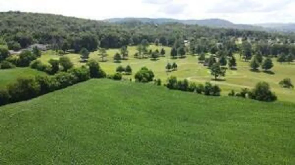 3 Highway 90 Bypass Monticello KY 42633