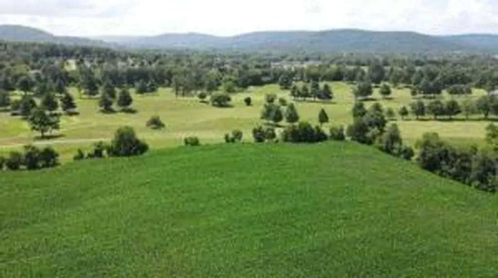 3 Highway 90 Bypass Monticello KY 42633