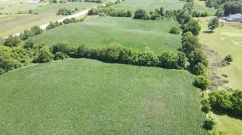 3 Highway 90 Bypass Monticello KY 42633