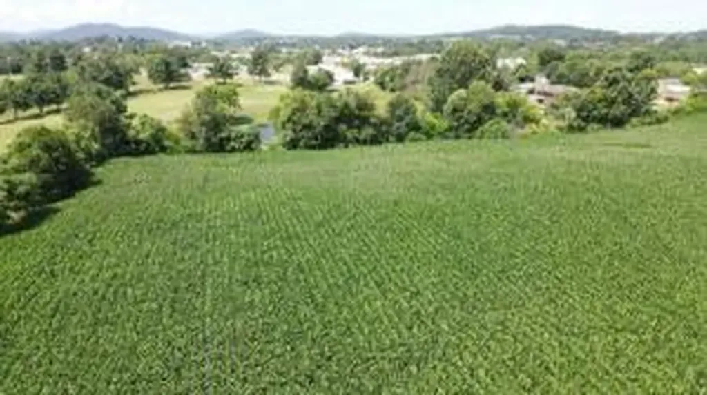 3 Highway 90 Bypass Monticello KY 42633