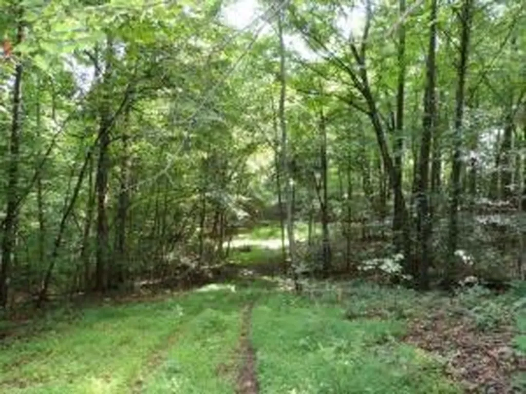 Tract 1 Off Green Stable Lane Monticello KY 42633