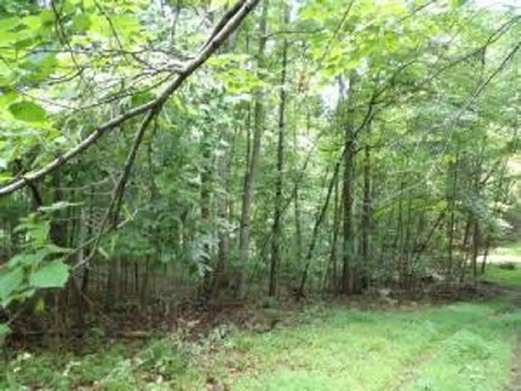 Tract 1 Off Green Stable Lane Monticello KY 42633