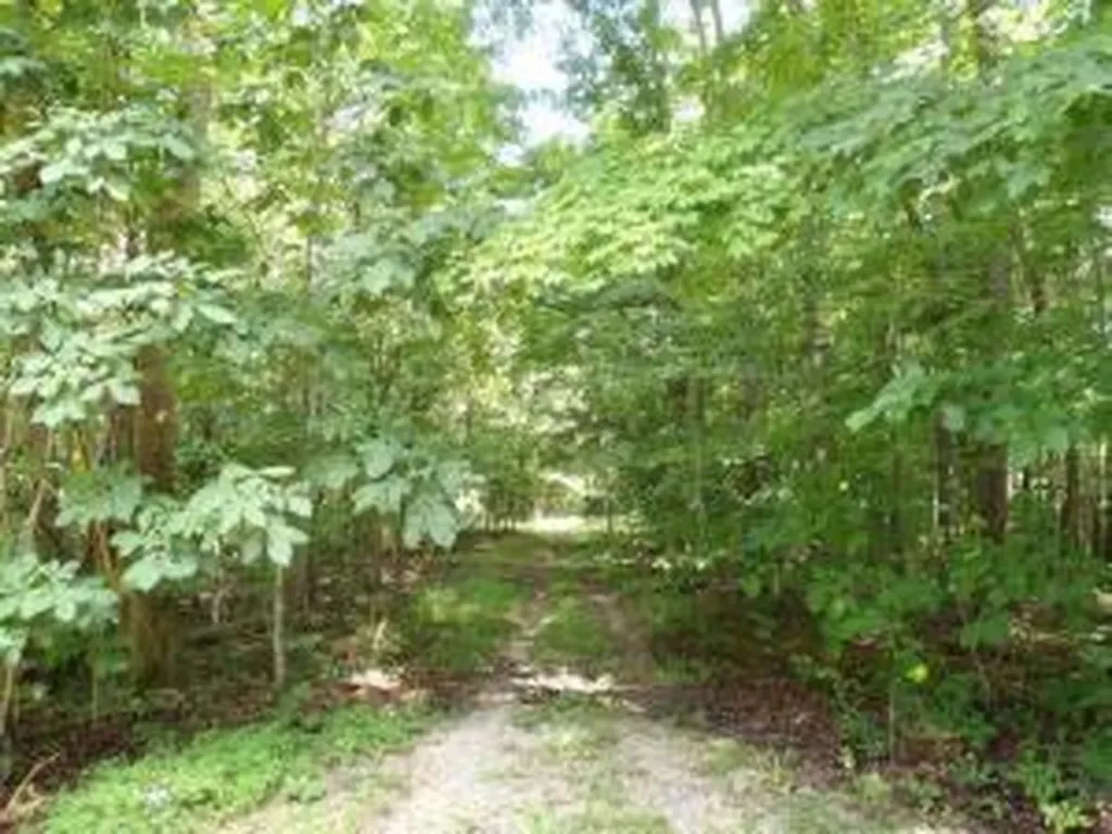 Tract 1 Off Green Stable Lane Monticello KY 42633