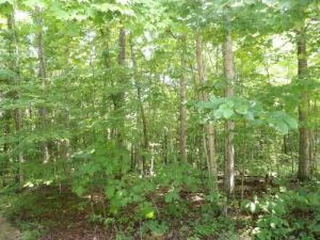Tract 1 Off Green Stable Lane Monticello KY 42633