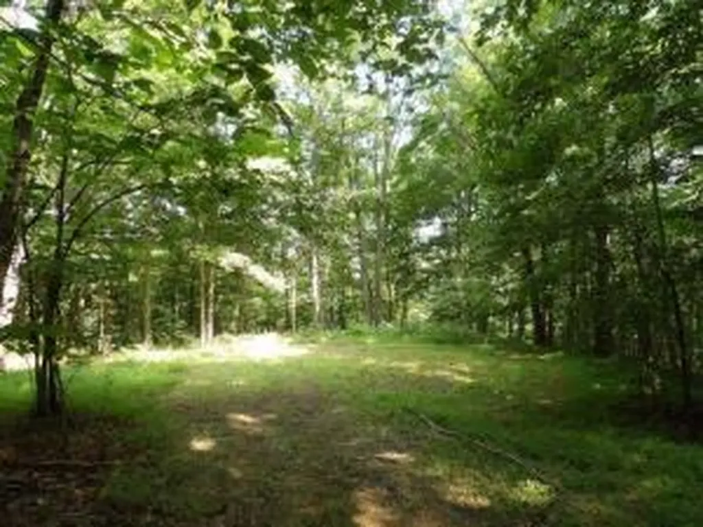 Tract 1 Off Green Stable Lane Monticello KY 42633