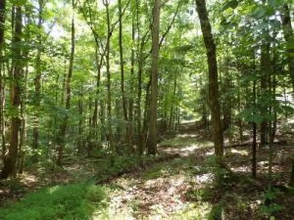 Tract 1 Off Green Stable Lane Monticello KY 42633