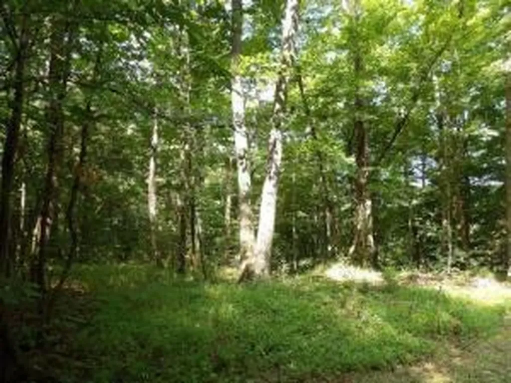 Tract 1 Off Green Stable Lane Monticello KY 42633