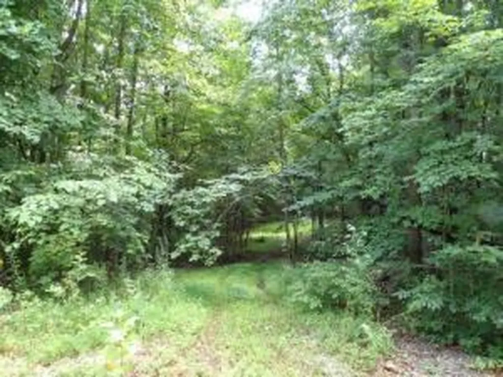 Tract 1 Off Green Stable Lane Monticello KY 42633