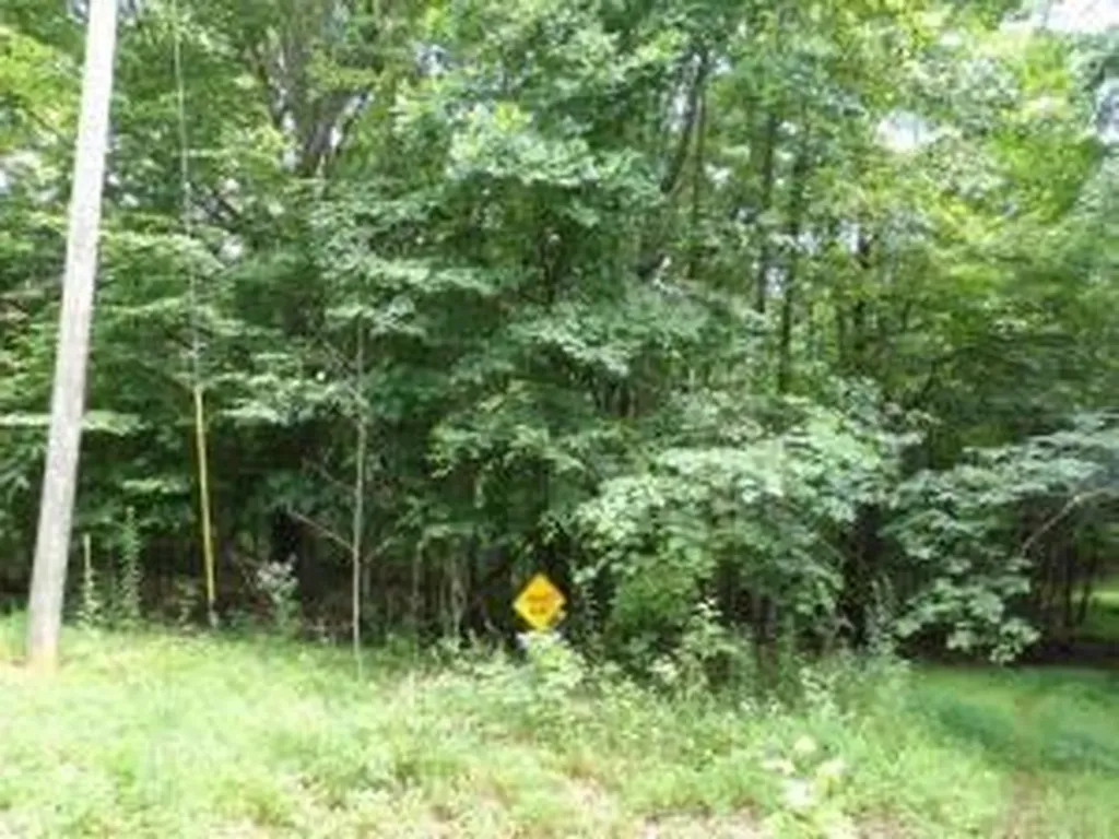 Tract 1 Off Green Stable Lane Monticello KY 42633
