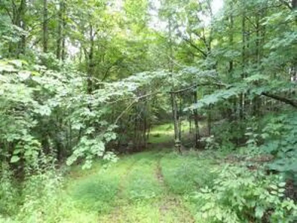 Tract 1 Off Green Stable Lane Monticello KY 42633