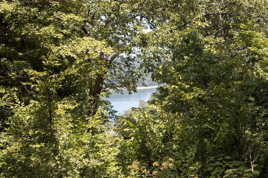 57 Cumberland Shores Monticello KY 42633