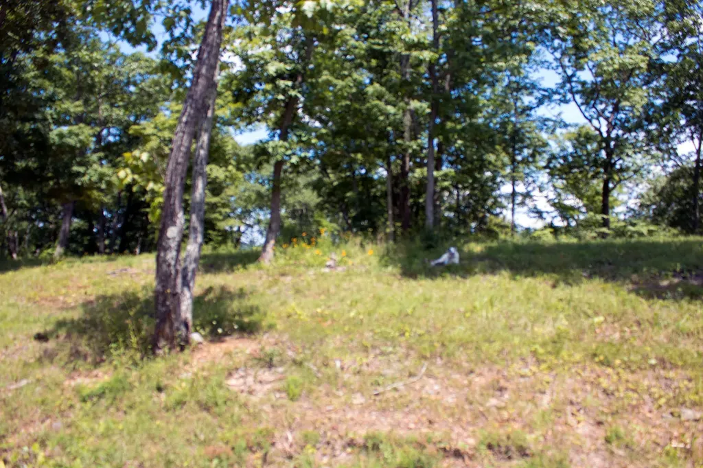 57 Cumberland Shores Monticello KY 42633
