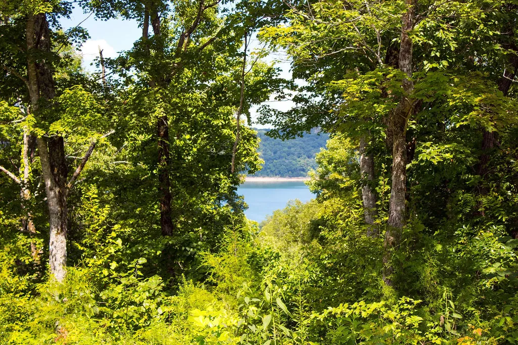 57 Cumberland Shores Monticello KY 42633