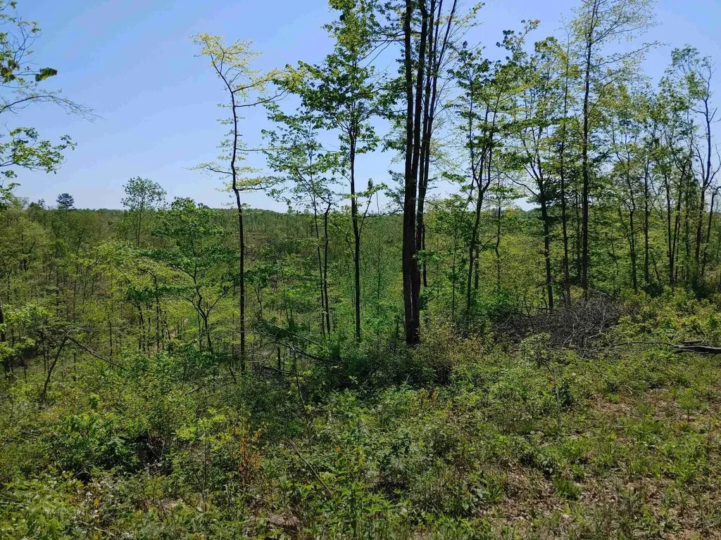 0 New Hope Tower Road Mt Vernon KY 40456