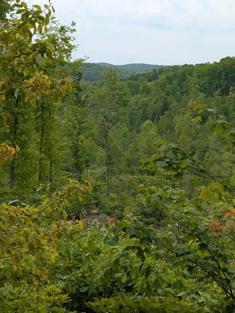 0 New Hope Tower Road Mt Vernon KY 40456