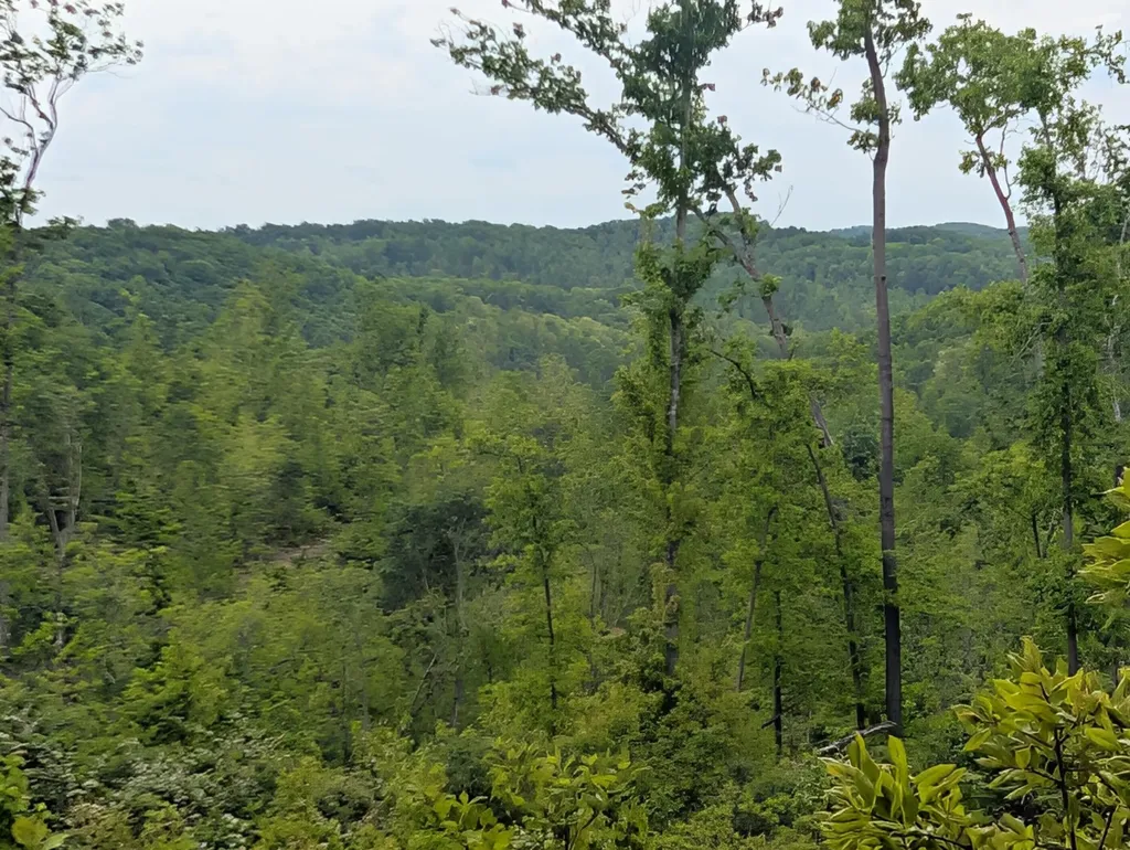 0 New Hope Tower Road Mt Vernon KY 40456